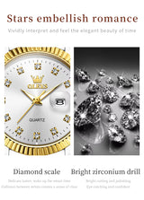 Carat Link Women's Round Stainless Steel Watch